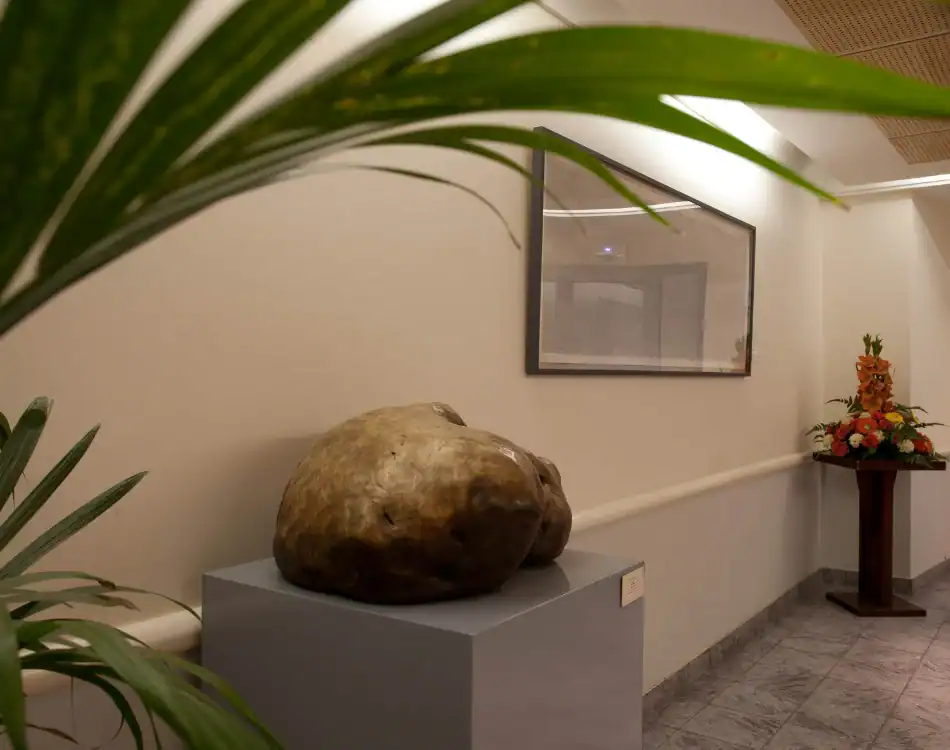 CPL-Salles-Brongniart-2 Espace de circulation avec sculpture contemporaine, végétation et composition florale, dans un cadre soigné et apaisant